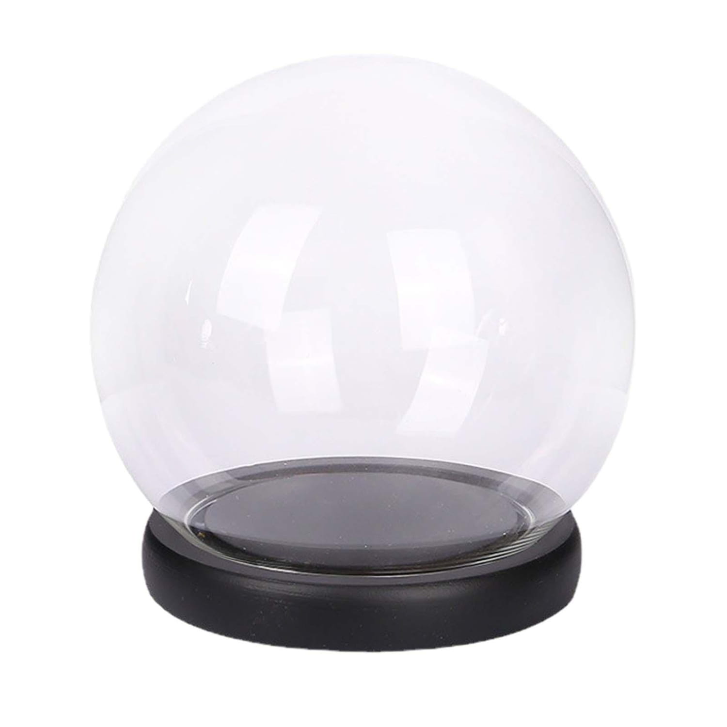 Glass display dome with a clear glass dome and a black circular base designed to showcase dried floral arrangements.
