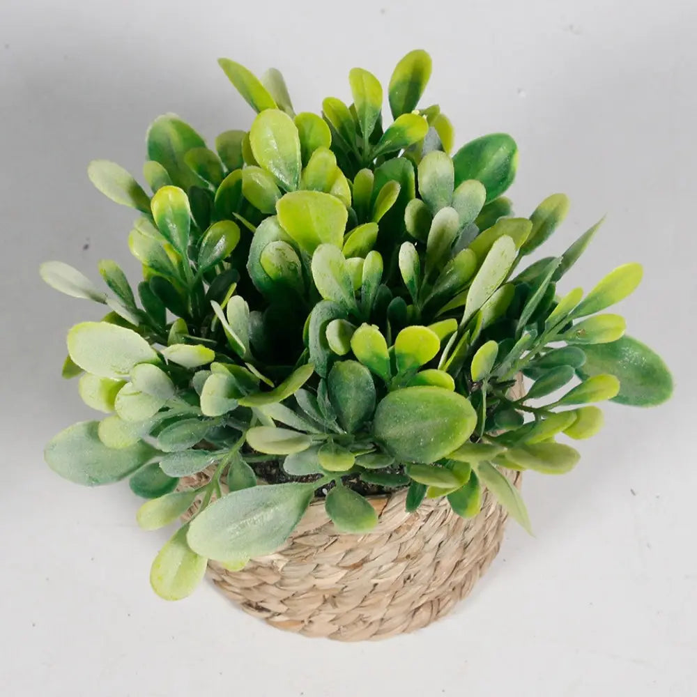 Une luxuriante plante artificielle en pot d’eucalyptus aux feuilles vertes panachées, dans un pot en osier tressé mesurant 11 cm