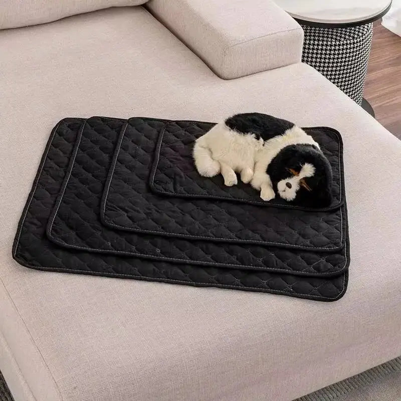 Schwarze gepolsterte, wasserfeste Hundebettmatte und Möbel-Schutzunterlage mit einem plüschigen schwarzen-weißen Hundespielzeug darauf.