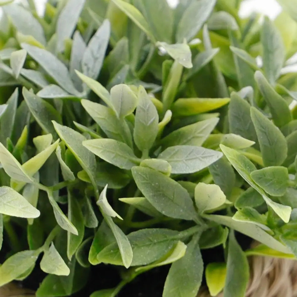 Plante artificielle en pot d’eucalyptus de 11 cm présentant un feuillage artificiel vert aux nuances de feuilles variées et à des nervures réalistes.