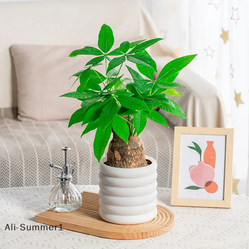 【E】Porcelain-like plastic flower pot Indoor Plants Pots Office For Flower Multipurpose Planters For And Vegetable For Plants Pot