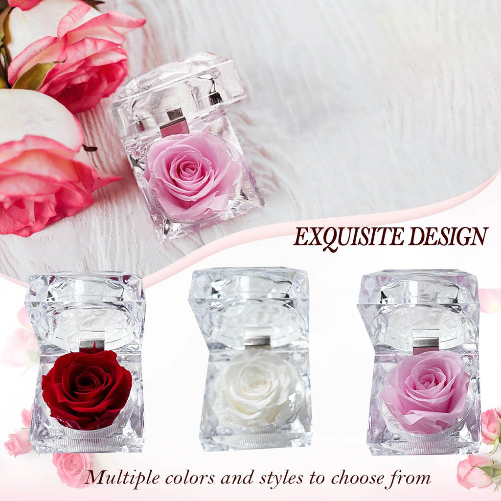 Eternal Preserved Rose Real Flower Valentine'S Birthday Anniversary Mother'S Day Acrylic Gift Box New Artificial Decorations