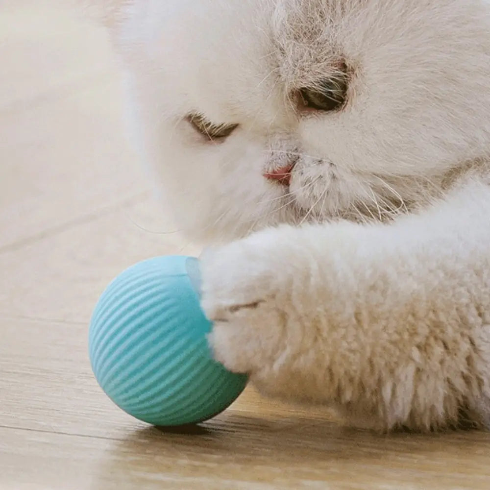 a teal ribbed silicone automatic interactive smart cat ball toy designed for engaging feline play