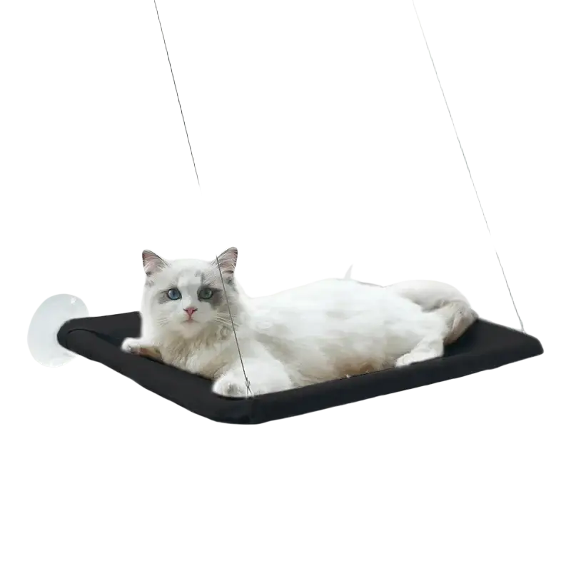 Black pet cat hammock aerial hanging bed with suction cup attachment for sunny window seat use