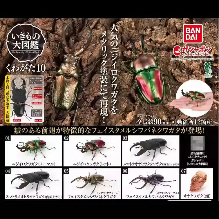 バンダイのガシャポンコレクションより出た、鮮やかな虹色の緑と赤の金属質カブトムシ(?)の置物フィギュアで、完成品モデル玩具です。