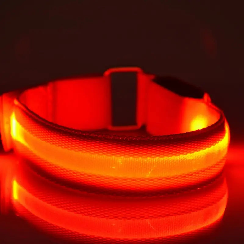 Brazalete de seguridad LED recargable por USB para correr, con collar para perro LED luminoso rojo y naranja, con hebilla negra.