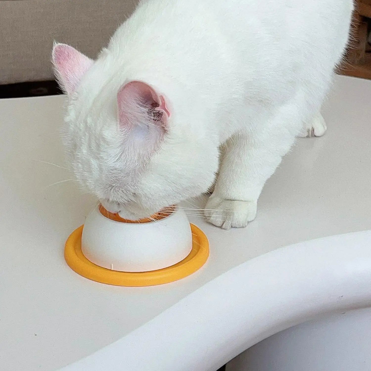 ピンクの内耳を持つ白い猫が、白とオレンジのインタラクティブなスローフィーダーボウルから飲んでいる。犬のなめなめを促し、スローフィーディングを行うための犬用なめなめおもちゃ。