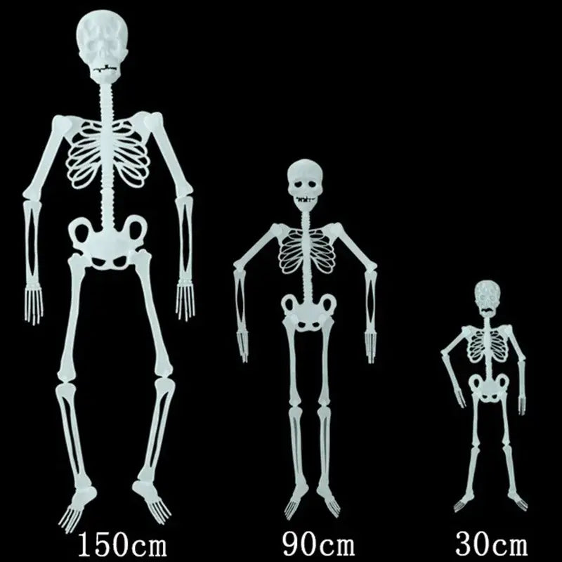 three white plastic glow in the dark skull skeleton halloween props in sizes 150cm 90cm and 30cm suitable for haunted house decorations