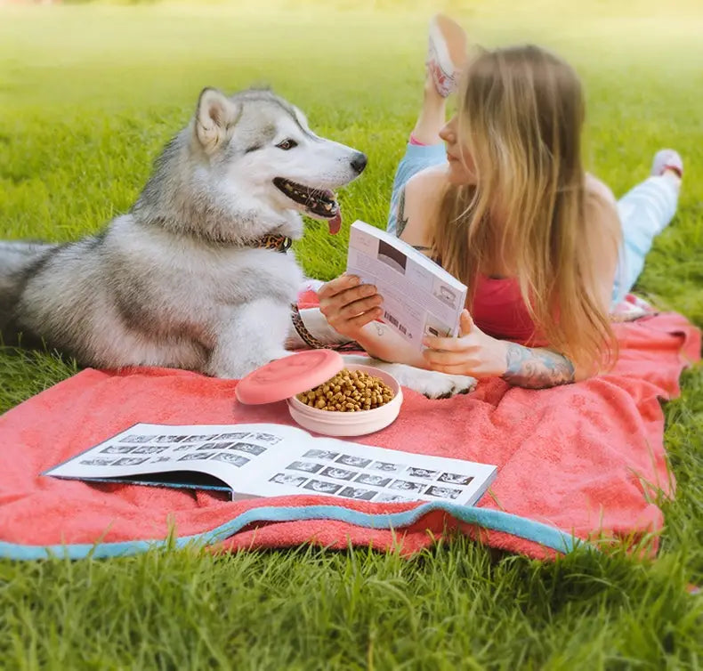 Un Alaskan Malamute duveteux gris et blanc portant un collier rouge est allongé sur de l’herbe verte à côté d’un bol de voyage portable pour chien avec compartiment à friandises, conçu pour une utilisation extérieure pratique.