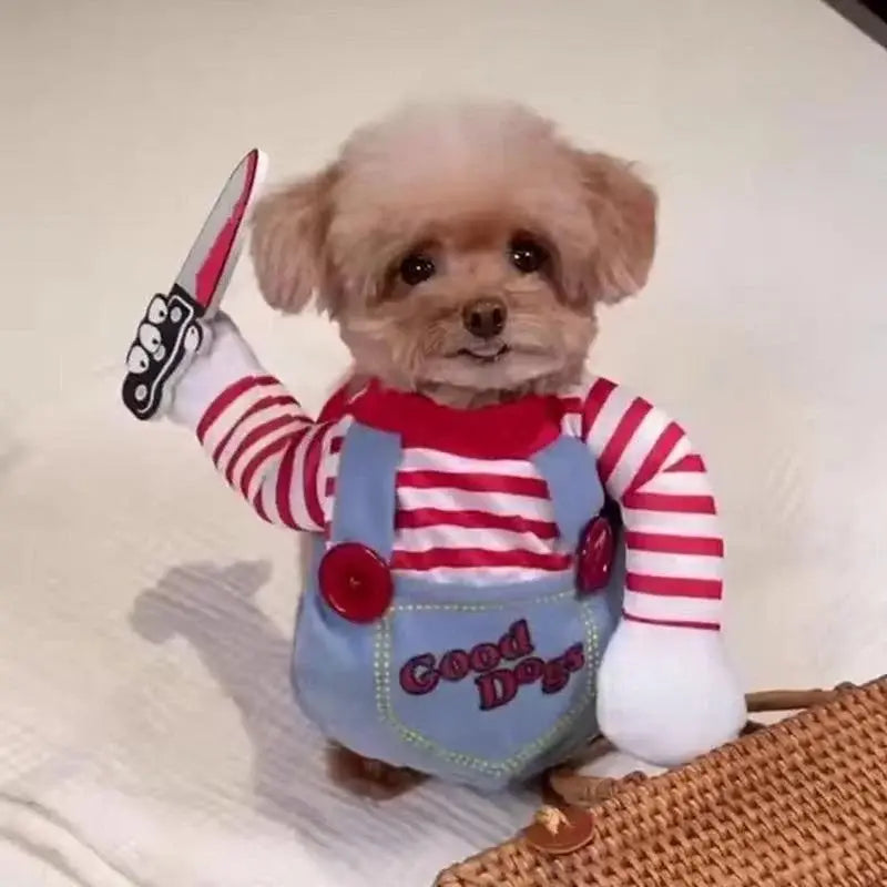 Un cachorro esponjoso color canela vestido con un disfraz divertido de perro con muñeco asesino, con una camisa de rayas rojas y blancas, peto azul bordado con buenos perros, una peluca y sosteniendo un cuchillo de juguete.
