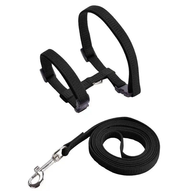 Adjustable nylon cat harness and leash set in black featuring adjustable plastic buckles and a matching leash with a silver metal clasp.
