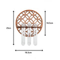 Wall Planters for Indoor Plants with 3 Plastic Test Tubes Plant Propagation Station for Home Office Plant Hanger Flower Vases