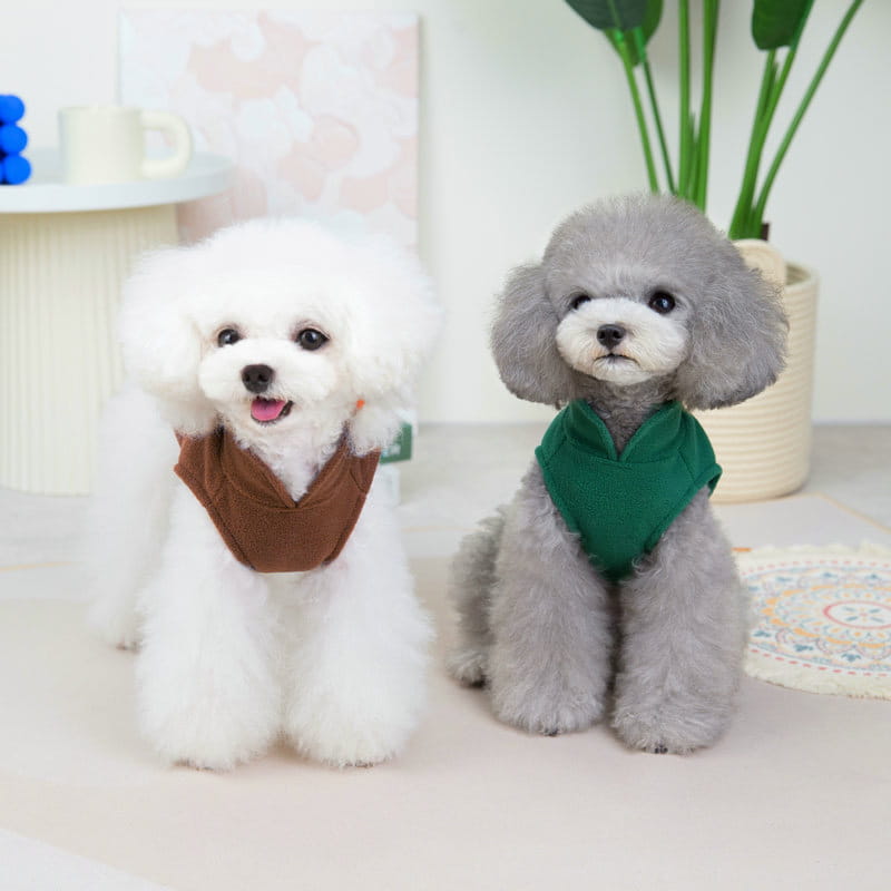Zwei flauschige Pudel tragen flauschige warme Hundewesten für kleine bis mittelgroße Hunde aus weichem Material in Braun und Grün