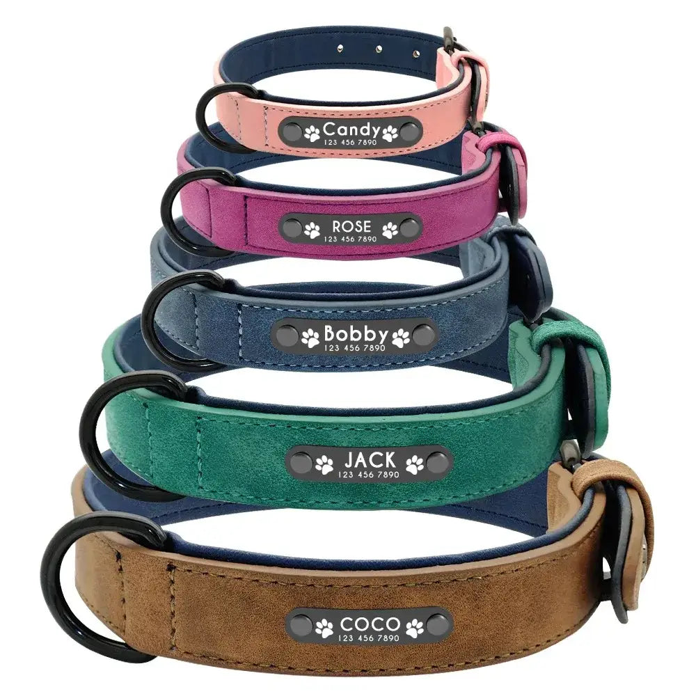 customized leather dog collars in assorted colors including pink purple blue green and brown featuring engraved metal nameplates with paw print customization information.