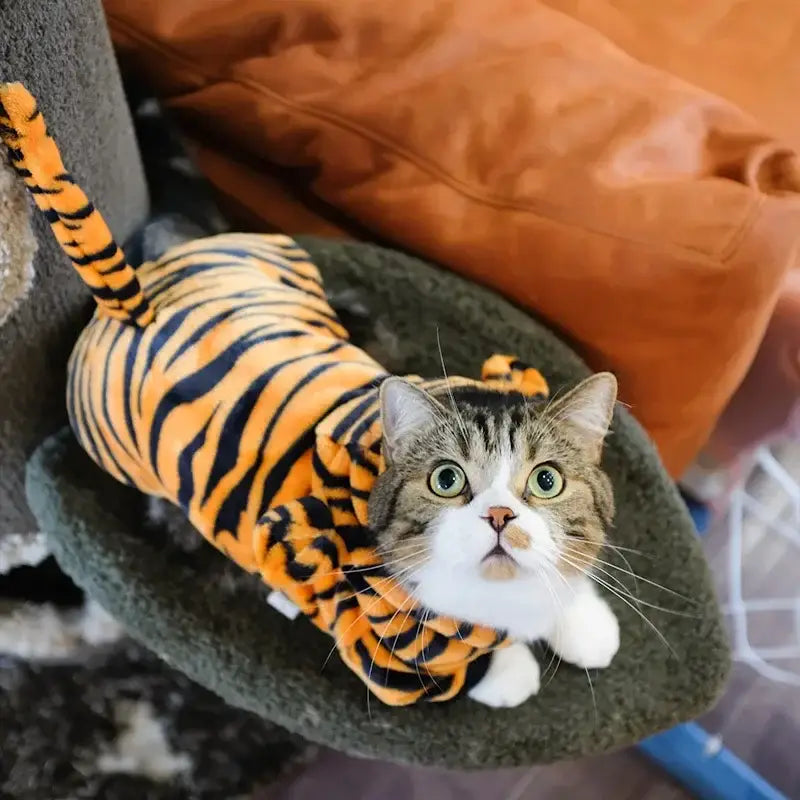 Un gato atigrado esponjoso que lleva prendas de vestir para mascotas de forro polar con motas de coral en un disfraz esponjoso de tigre anaranjado y negro con rayas, con cola a juego, diseñado para perros pequeños y medianos
