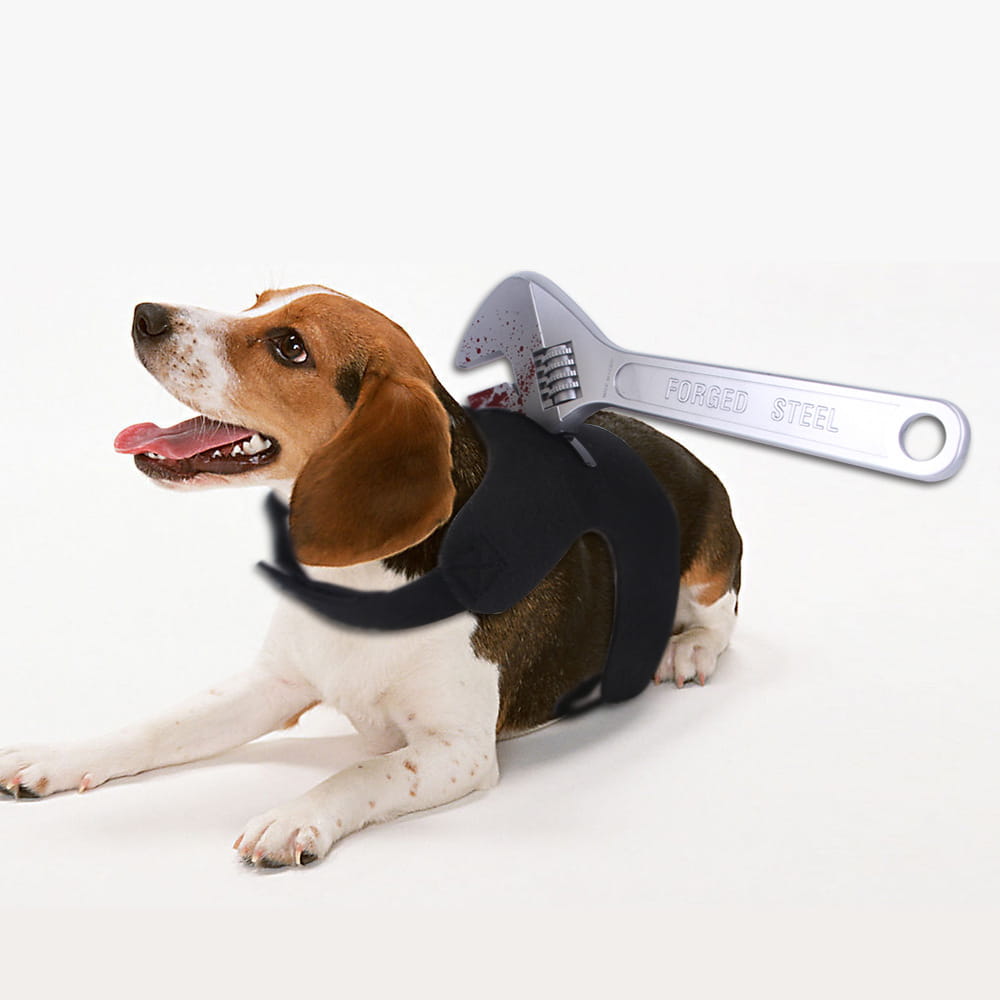 面白い武器の犬用ハロウィーンコスチュームを着たビーグルの上に横たわる、3〜10cm調整可能なシルバーの鍛造鋼製アジャスタブルレンチ。