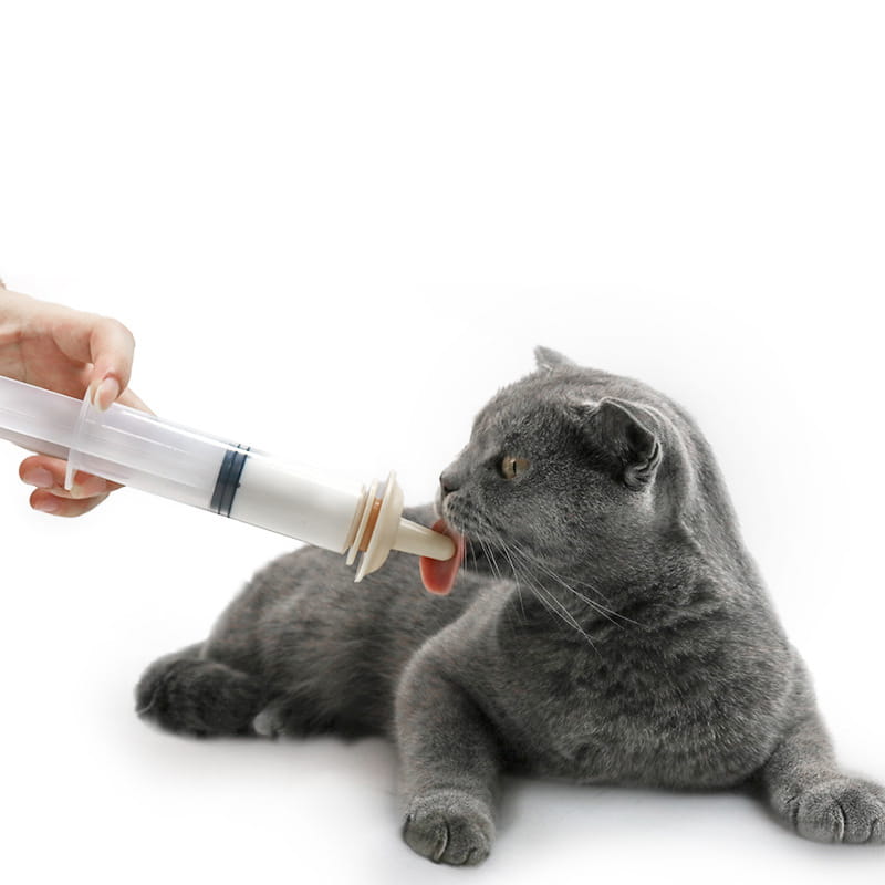 gray british shorthair cat with soft dense fur beside a pet oral syringe with silicone nipple feeder designed for easy administration of liquids to pets.
