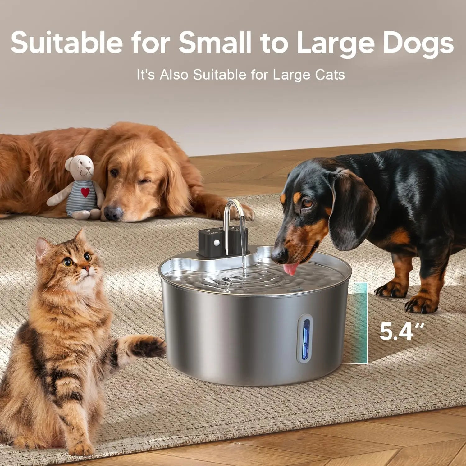Fontaine à eau sans fil pour chat en acier inoxydable argenté, d’une capacité de 7 litres, dotée d’un design moderne épuré et d’un indicateur à DEL bleue.