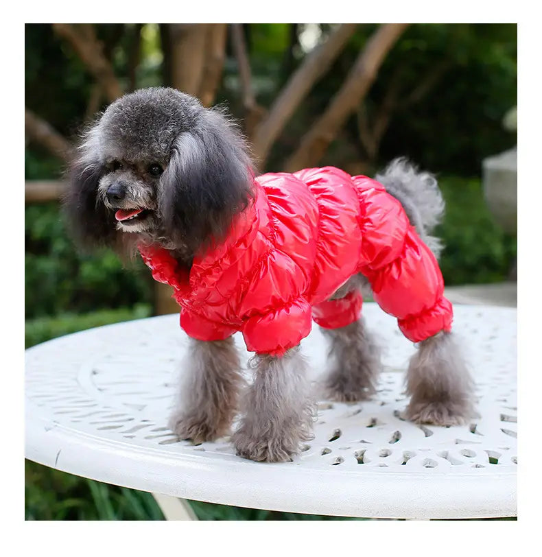 小型犬向けの、暖かいコットンで作られた鮮やかな赤のふんわりしたパファー冬用コート。ペット服用パピーで、防風仕様です。