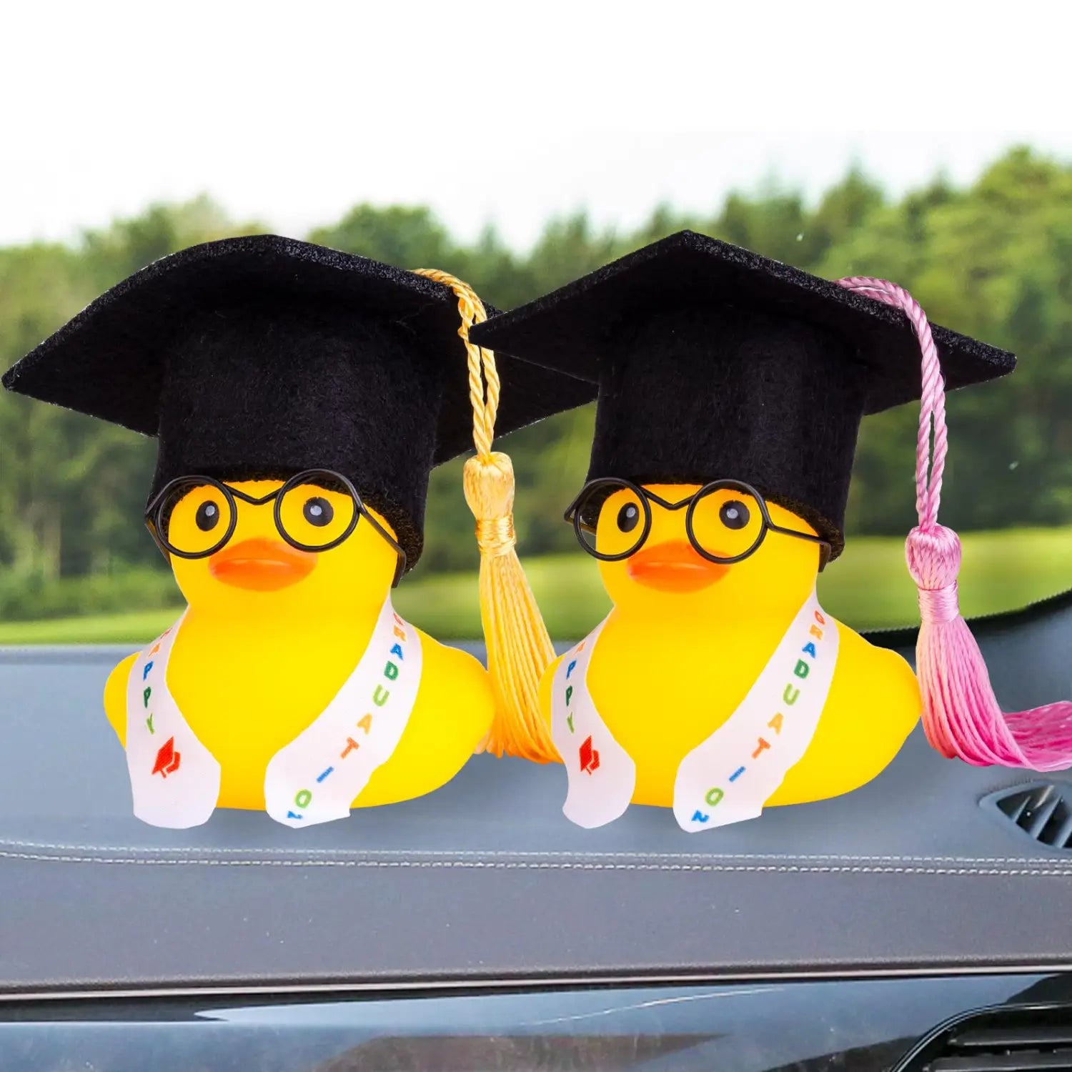 Two yellow rubber duck graduates wearing black mortarboard caps with tassels and glasses, each with a white sash reading happy graduation, as a graduation rubber duck car dashboard ornament.