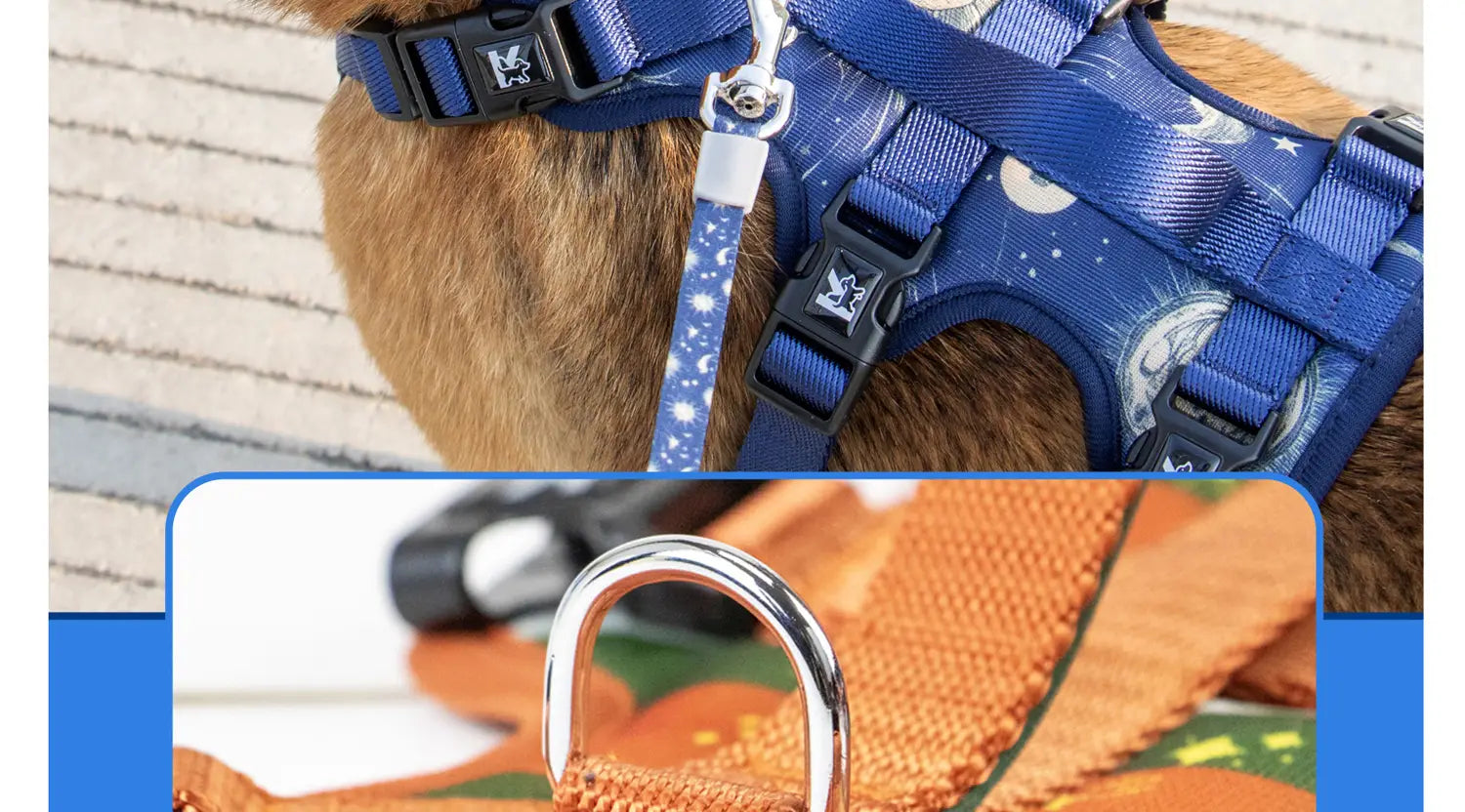 Harnais pour animal de compagnie bleu à thème spatial avec circonférence du cou réglable, boucles en plastique noires, attache en anneau en métal argenté en forme de D, faisant partie d’un ensemble de collier et de laisse pour animal de compagnie à circonférence du cou réglable.