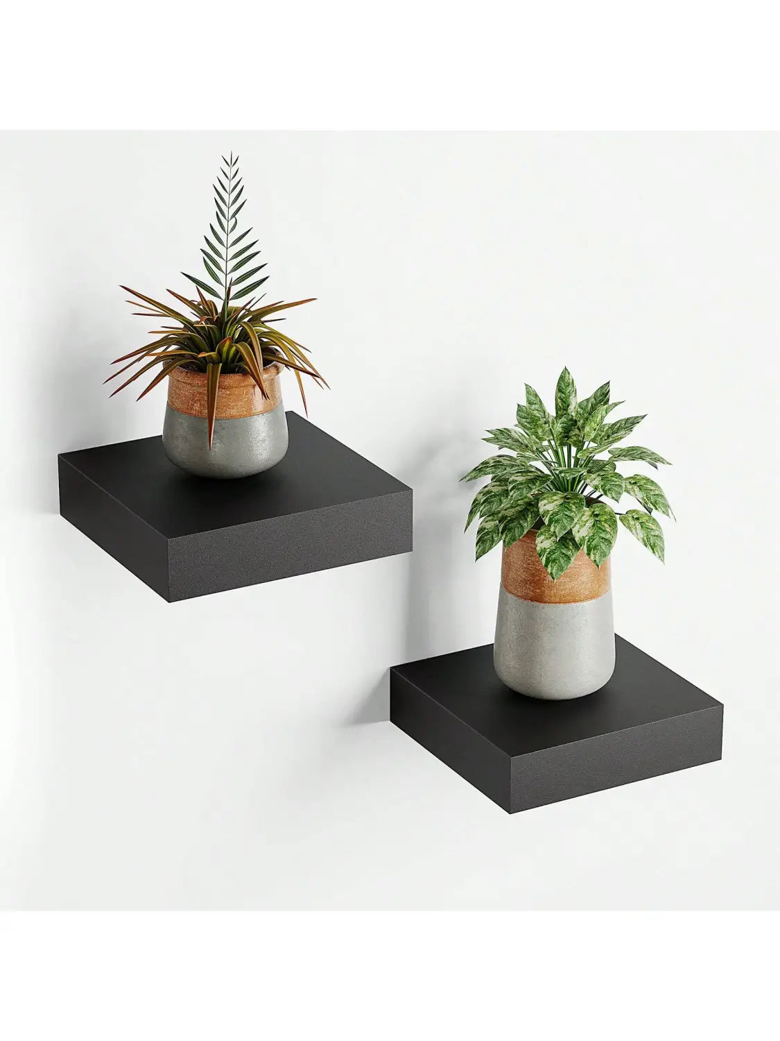 black modern floating wall shelves with matte finish wood display shelf featuring gray and brown ceramic potted plants as a stylish decor display stand and wall organizer