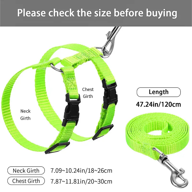 Verstellbares Nylon-Katzengeschirr- und Leinen-Set in leuchtendem Neon-Grün mit schwarzen Kunststoffschnallen.