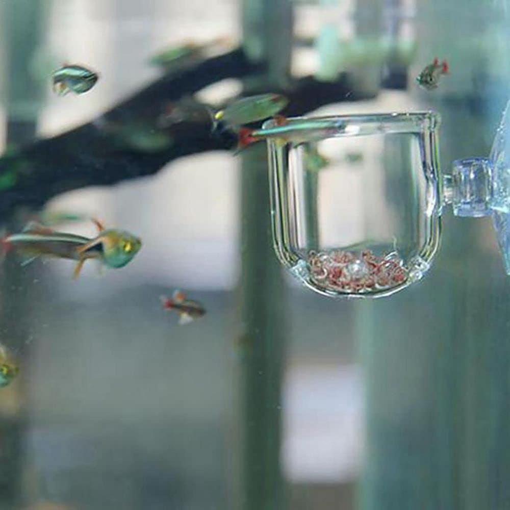 Clear glass acrylic aquatic plant cup with suction holder containing red fish food for aquarium feeding.