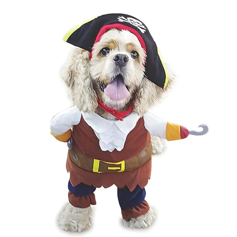 Ein flauschiger Hund trägt ein Piratenhundekostüm mit schwarzem Dreispitz-Hut mit weißem Totenkopf und gekreuzten Knochen, eine braune Stoffweste über blauen Hosen, eine gelbe Schnallenschnalle und hält einen Plastikhaken.