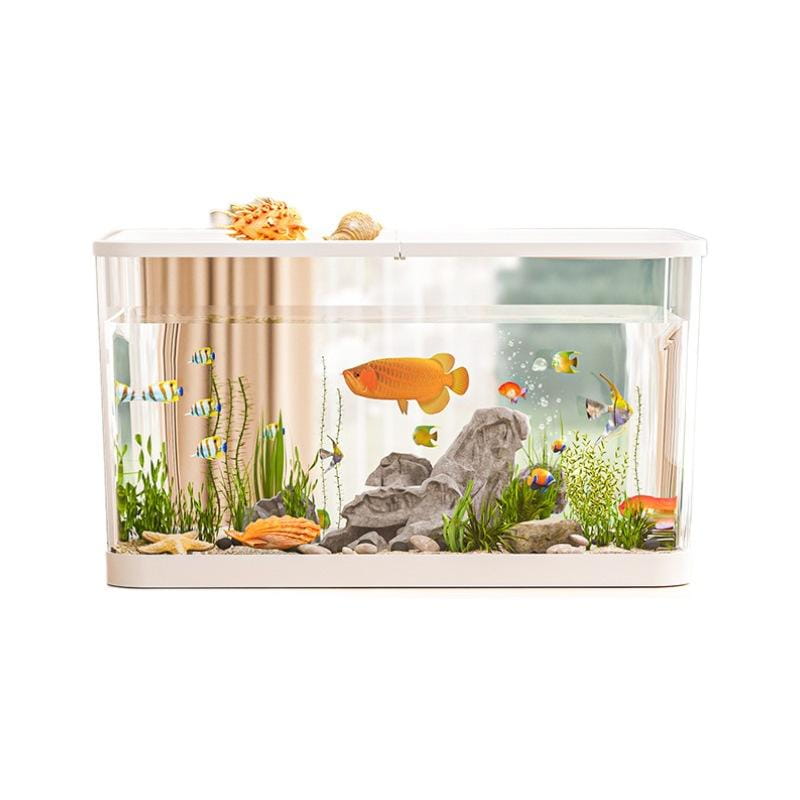 white rectangular ecological desktop fish tank with clear glass sides housing colorful tropical fish, an orange goldfish, green aquatic plants, rocks, starfish, and seashells against a beige curtain backdrop in a transparent mini aquarium design