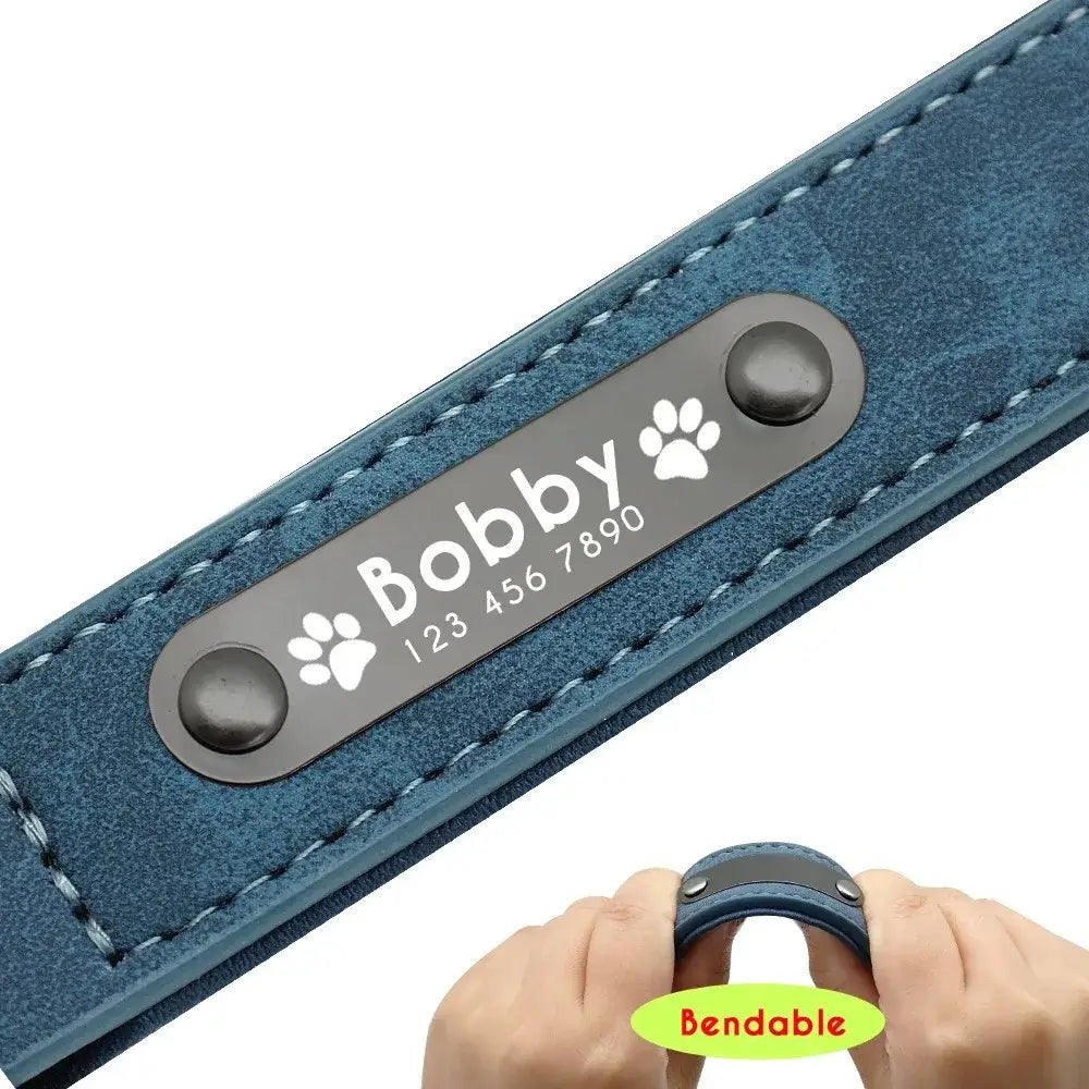 Customized leather dog collar in blue suede featuring a black metal nameplate engraved with the name Bobby paw prints and customization information for contact details.