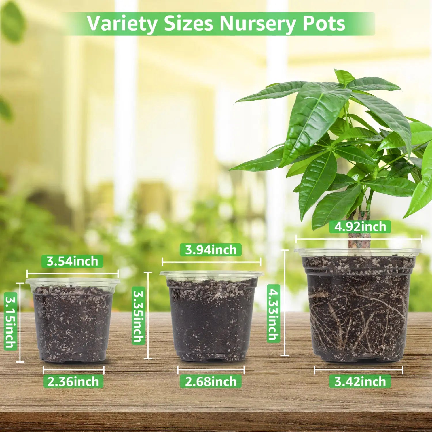 Pot de plantation en plastique transparent avec trous de drainage, lot de 30, présentant des tailles variées de pots en plastique transparent remplis de terre sombre et de petites plantes vertes.