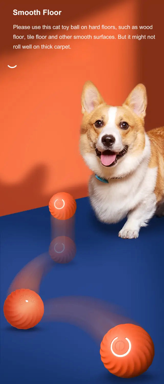 Orange textured cat toy ball with a glowing circular design shown from a front angle in an interactive dog toys rolling ball rechargeable chase toy accessory feature.