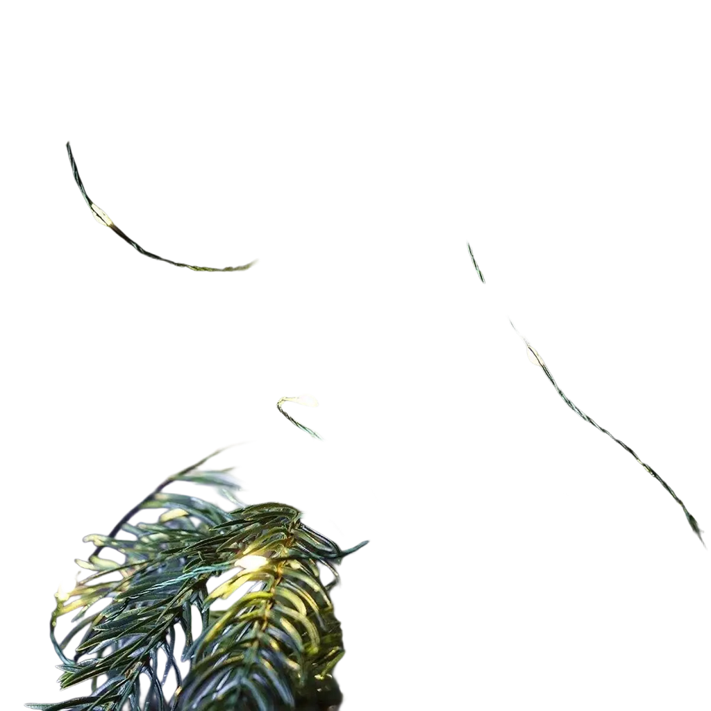 String of warm white led fairy lights on green copper wire wrapped among pine branches for outdoor decoration