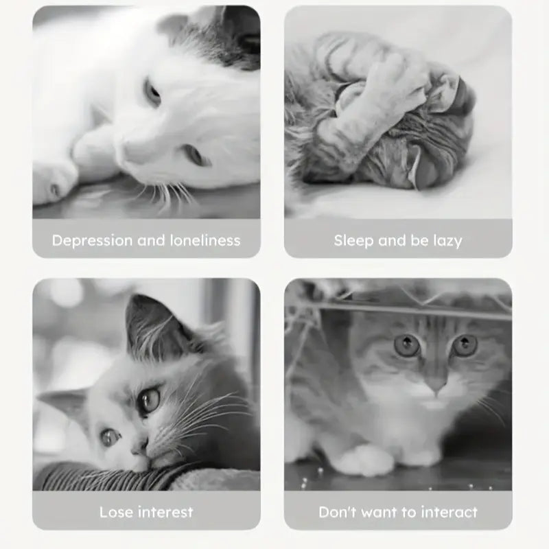un collage en blanco y negro que muestra cuatro expresiones distintas de gatos, etiquetadas con diferentes estados emocionales, junto a un juguete de silicona dispensador de golosinas con forma de pez para mascotas pequeñas.