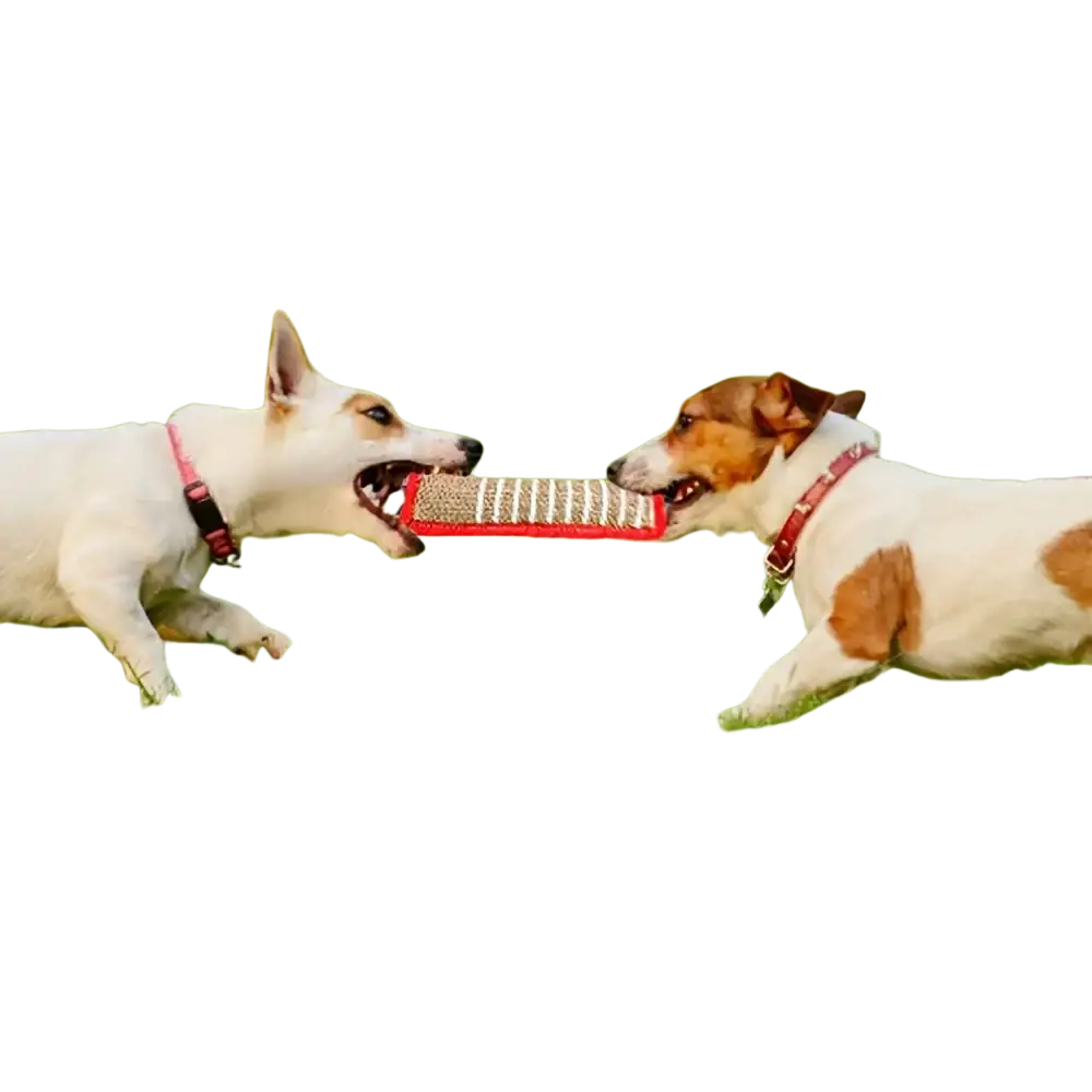 Red rectangular durable jute dog chew toy with textured abrasive surface for bite-resistant teething and dental care