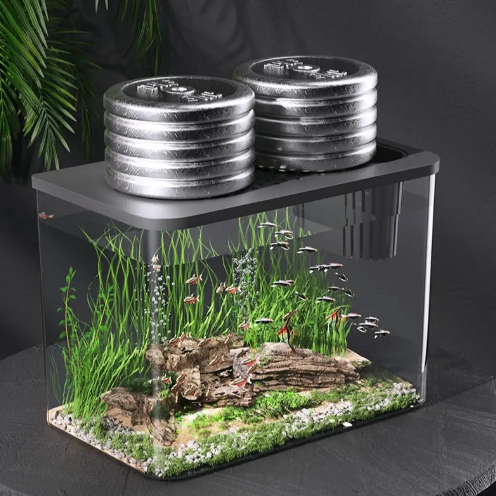 elegante pecera rectangular transparente fabricada en ABS, con tapa negra y dos placas de pesas plateadas colocadas en la parte superior