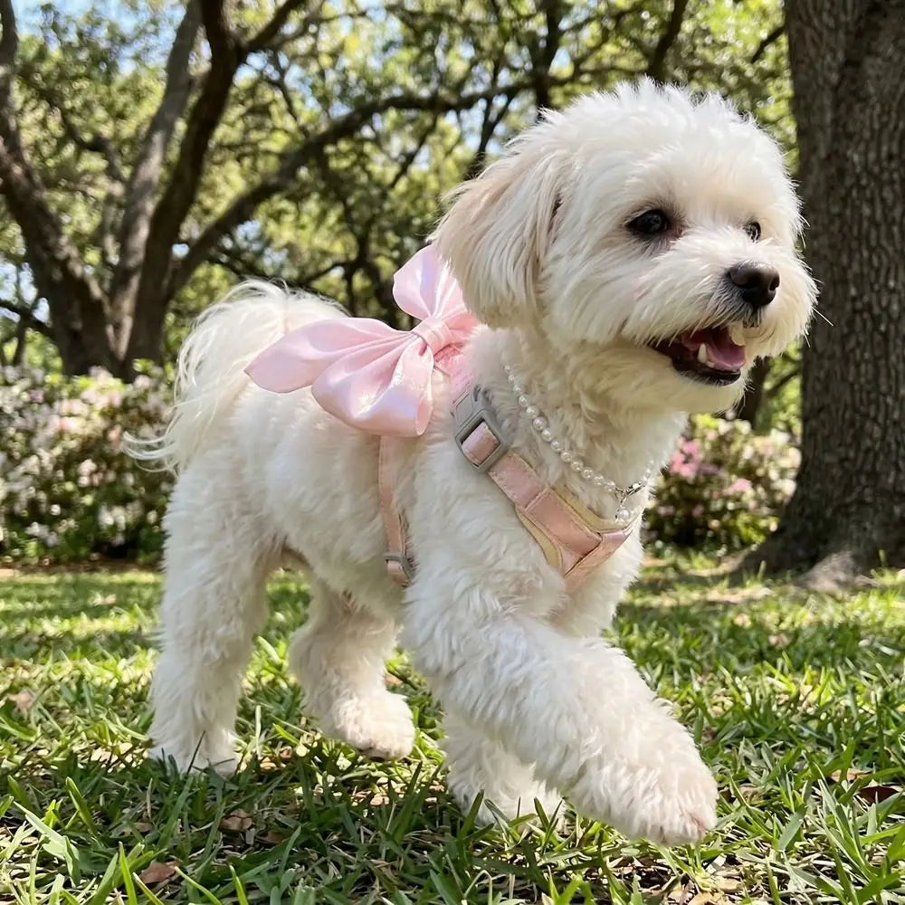 ふわふわの白い犬が、薄いピンクのサテンのリボンと真珠風の装飾を施した、通気性のあるペット用ハーネスを着用している様子