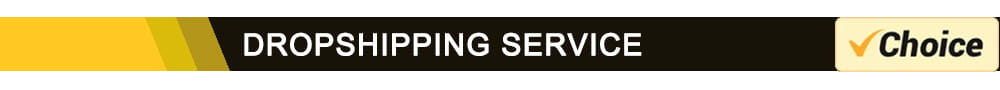 Schwarzes Banner mit gelbem und weißem Text „Dropshipping-Service“ neben einem goldenen Häkchen-Logo mit der Beschriftung „Auswahl“ in einem Produktbild eines Werkzeugs zur Diagnose von Motorgeräuschen mit einem elektronischen Stethoskop für Automobile.
