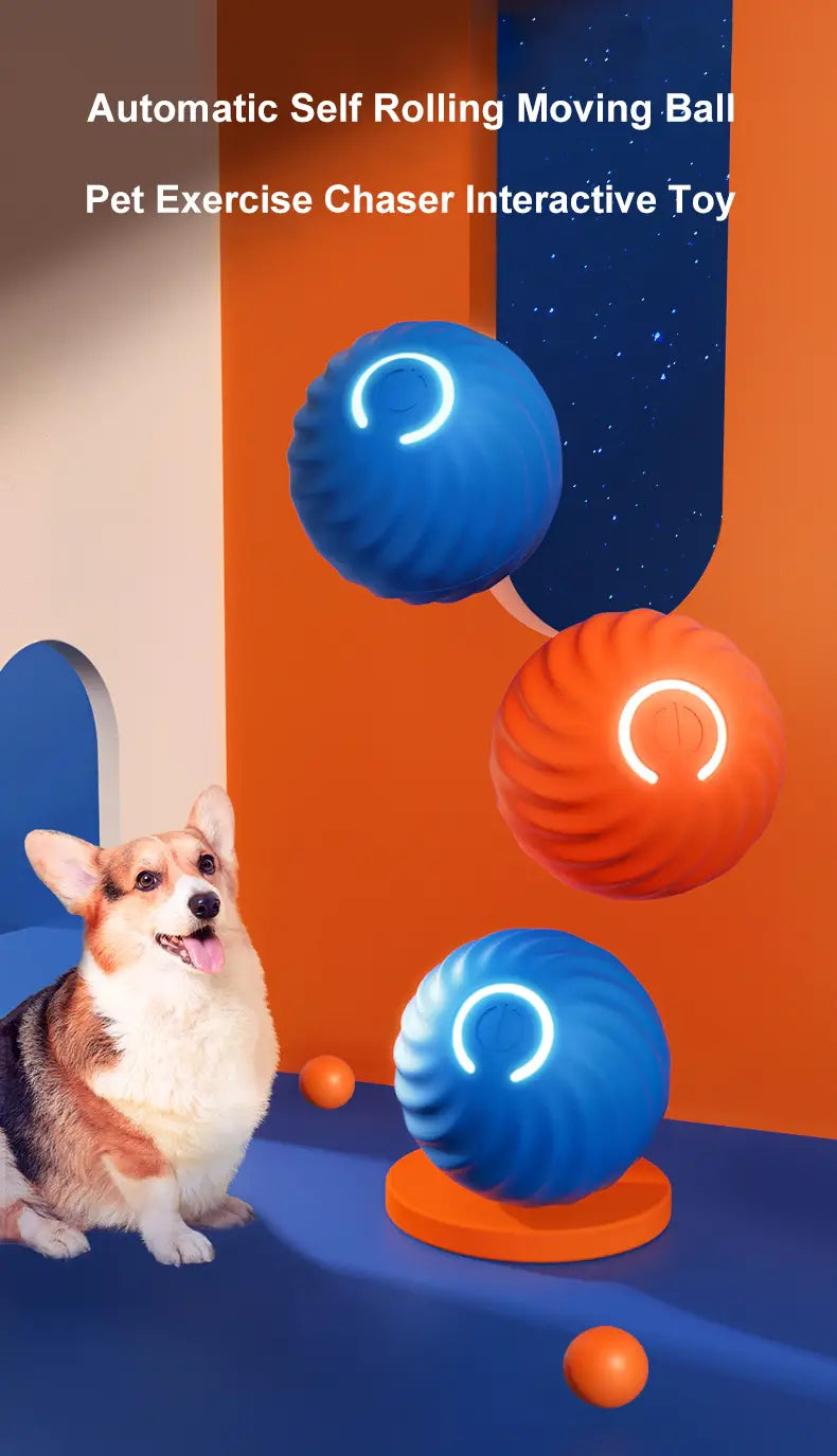 blue and orange automatic self-rolling moving balls with glowing circular led lights featured as interactive dog toys accessories for pet play
