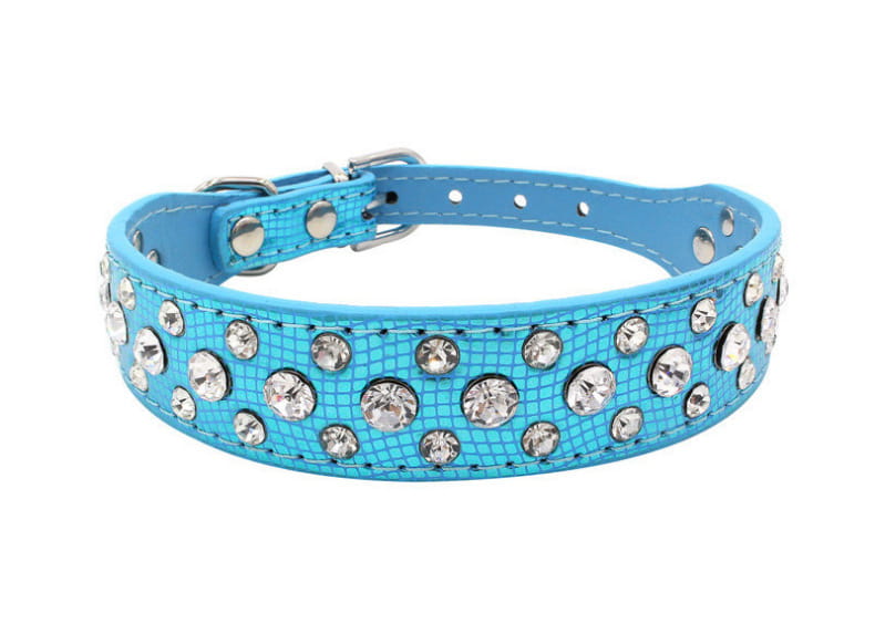 Ein lebhaftes türkisfarbenes Hundehalsband aus Kunstleder mit strukturierter Oberfläche, klaren Strasssteinen und Metallbeschlägen in Silberoptik, ausgelegt für kleine Hunde und Katzen.