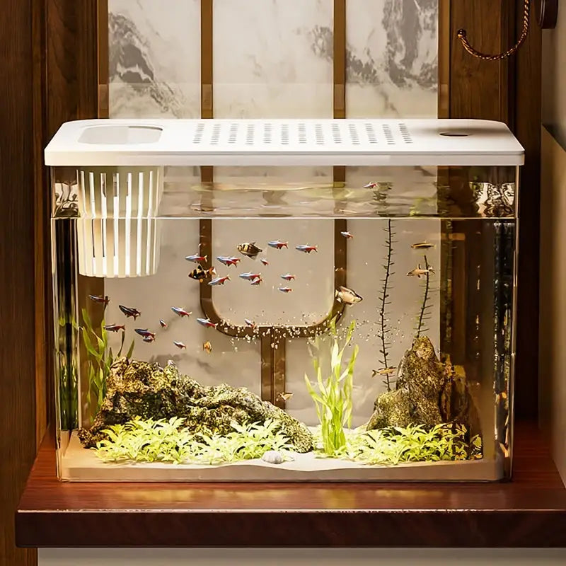Transparent desktop fish tank made of clear glass with a white plastic lid featuring ventilation slits and an integrated filter housing small fish among green aquatic plants and decorative rocks.