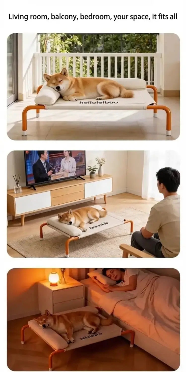 Orange-framed elevated dog bed with white mesh raised pet cot and white cushion featuring hellolebooo branding.