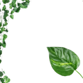 4/8/12m green artificial plant ivy leaf garland with glossy foliage and realistic vein pattern for garden decor
