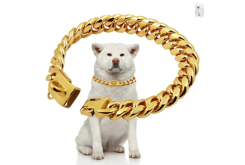 Collar para perro de acero inoxidable color dorado que presenta un diseño de gargantilla de eslabón cubano grueso con un cierre resistente.