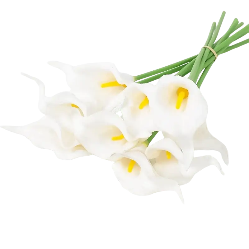 A delicate bouquet of five white calla lily flowers with yellow centers tied by a thin band for decor use