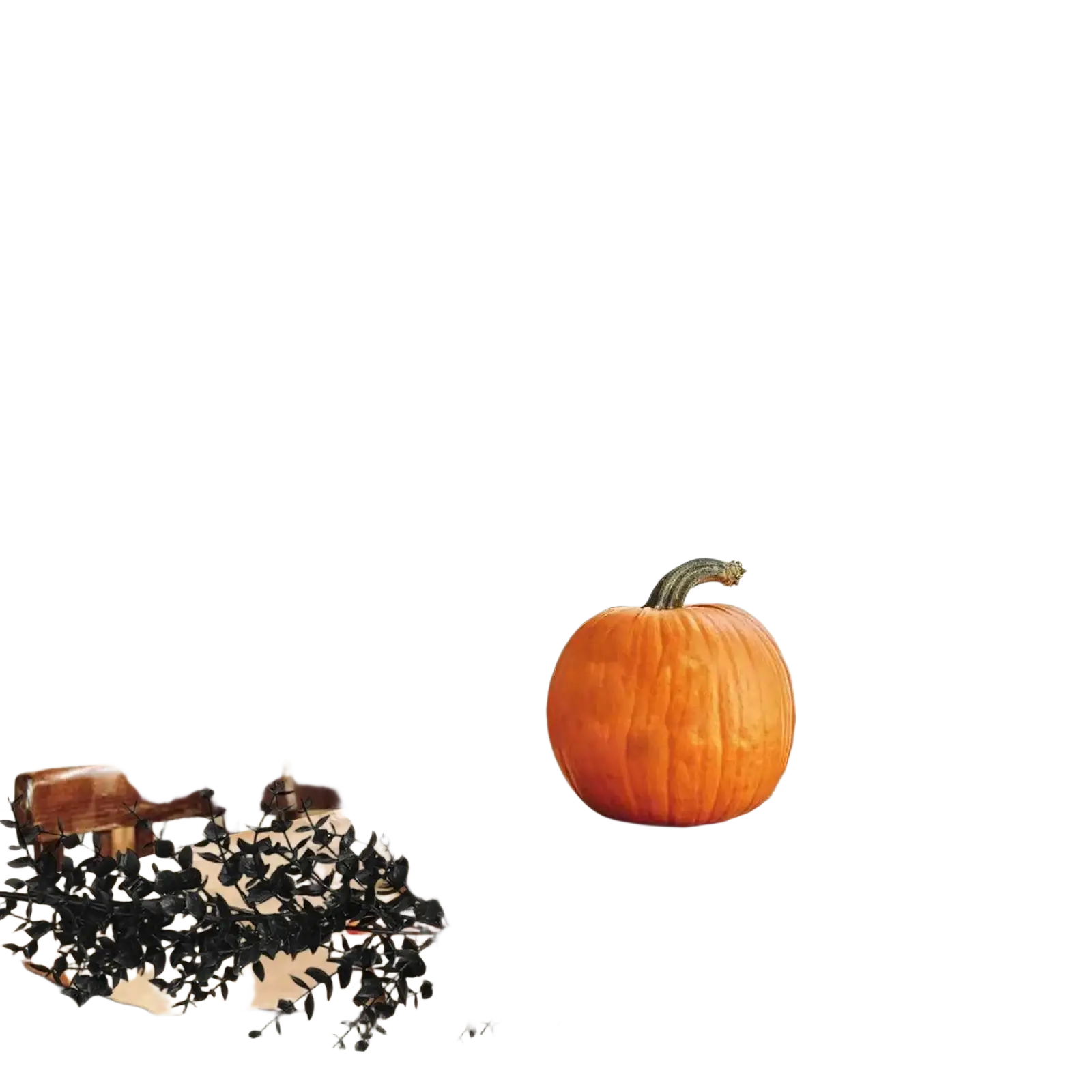 Una calabaza naranja vibrante con un tallo verde oscuro mostrada junto con guirnaldas negras para decoraciones de Halloween de 70 pulgadas.