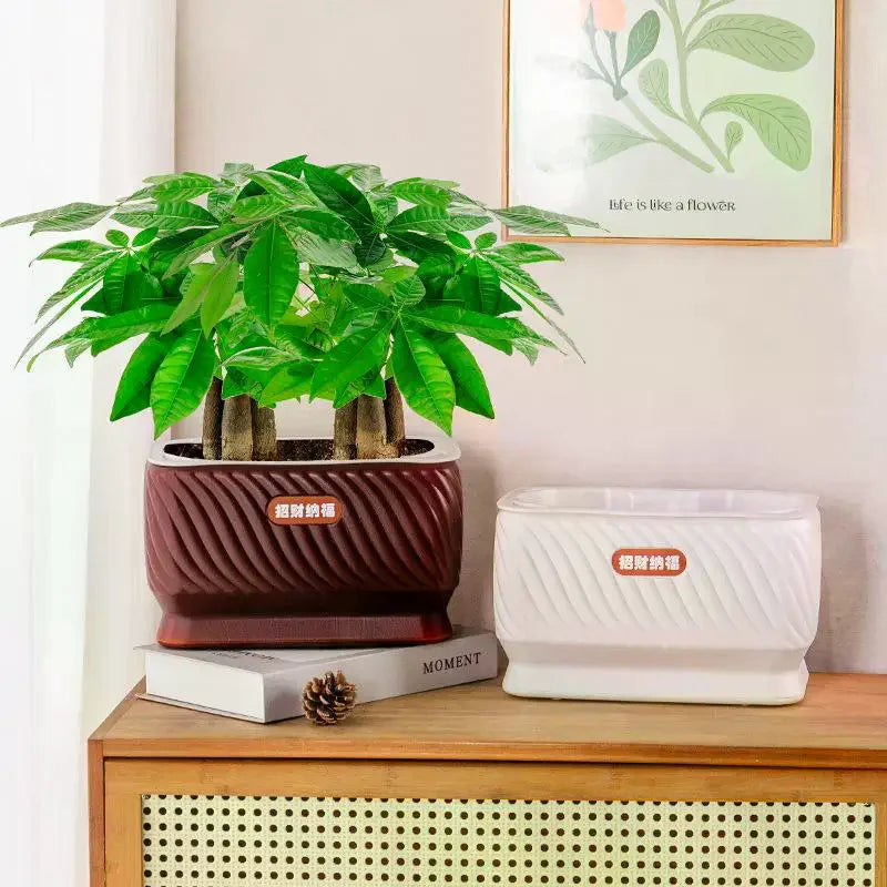 Self Watering Flower Pot Plastic Plant Pots Self Watering Planter Pot Vase For Home Decoration