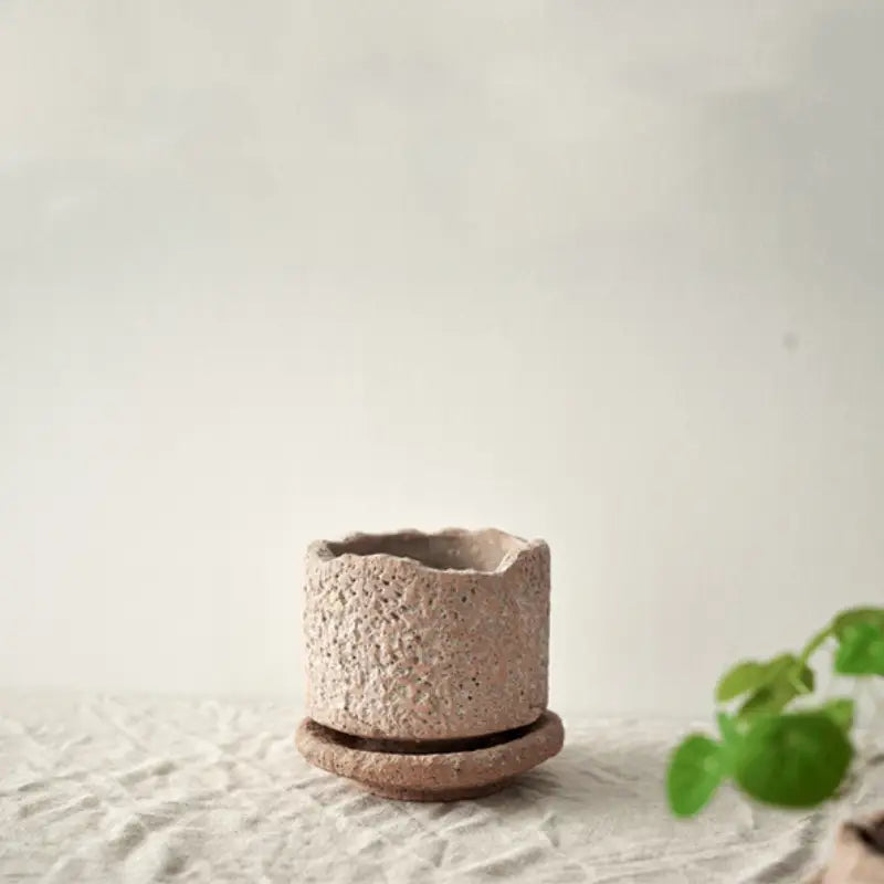 Ein strukturierter, beiger handgefertigter Keramik-Blumentopf mit passender Untertasse, ausgelegt für Grünpflanzen.