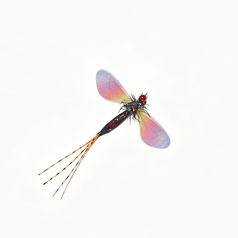 Farbiger Libellen-Cat-Toy-Ersatzkopf mit einem zarten durchscheinenden Köder in Form einer flügellosen Fliege mit rosa- und lila gefärbten Flügeln, rotem Kopf und schwarzem Körper.